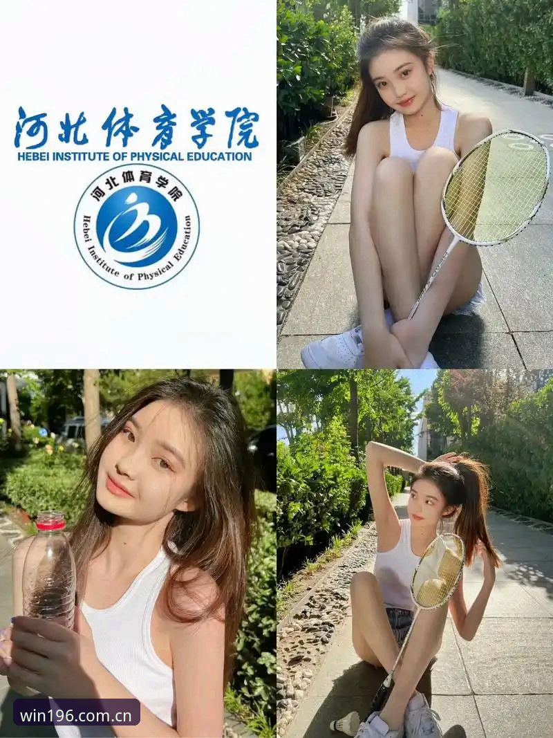 196娱乐体育官网 vs 其他平台：哪家更适合玩家的体育娱乐需求？